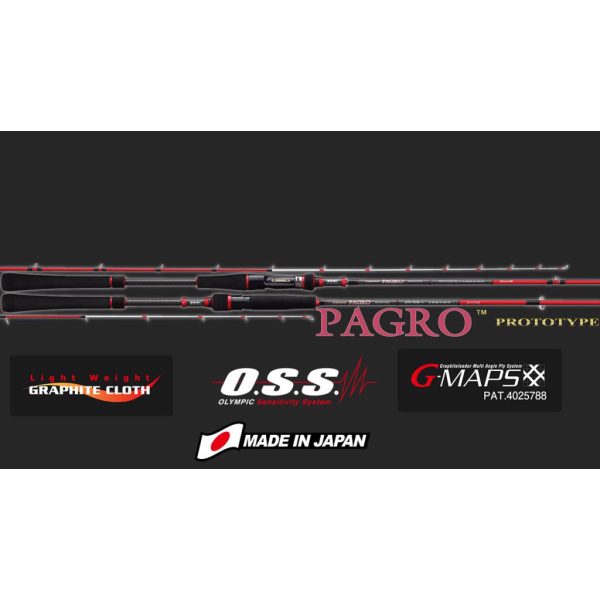 Graphiteleader Nouvo Pagro Cast GNPC-6102L-S R Fast 2,05m 100gr 2-teilige Spinnrute