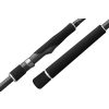 Graphiteleader Argento UX 24GARGUS-982M 2,95m Regular-Fast 7-40gr 2-teilige Spinnrute