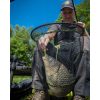 Matrix Carp Latex XL Net 60x50cm Kescherkopf
