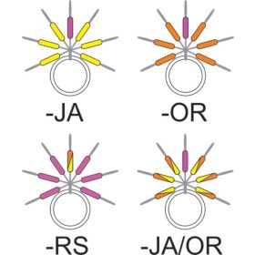   Garbolino - STREAMLINE STIX LINE VISUALIZER - Kleinteile - Stopper - Forellen-Gummistopper