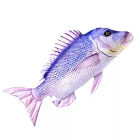 EnergoTeam The Dentex 43cm Fischkissen