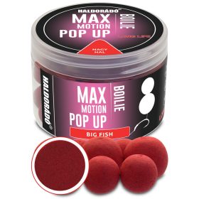   Haldorádó Max Motion Boilie Pop Up Großer Fisch 50gr 16-20mm Bojli