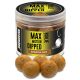 Haldorádó Max Motion Boilie Dipped Spanische Erdnuss 100g 20mm Boilie