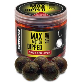   Haldorádó Max Motion Boilie Dipped Würzige Rote Leber 100g 20mm Boilie