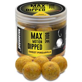  Haldorádó Max Motion Boilie Dipped Süße Ananas 100g 20mm Boilie