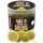 Haldorádó Max Motion Boilie Hard Hook Wafter 16, 20mm Champion Corn Köder-Boilie 100gr