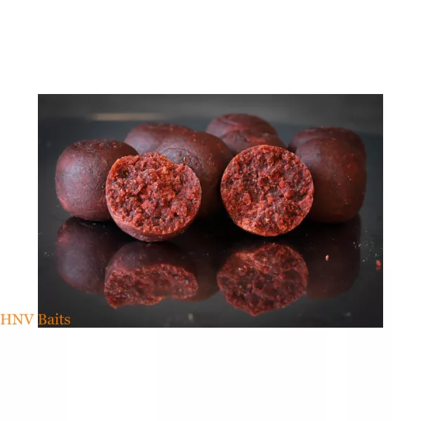 HNV Baits Roter würziger Tintenfisch 24mm Bojli 1kg