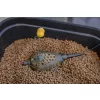 Korum Camo Grub Feeder Madenkorb 20gr
