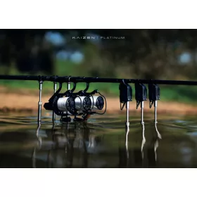 Korda Kaizen Platinum 3,60m 6in 4,00lb 2-teilige Karpfenrute