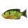 Livetarget Sonnenbarsch Walking Bait Fluoreszierender Kürbiskern 7,5cm 12gr Sonnenbarsch Kunstköder