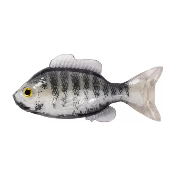Livetarget Sonnenfisch Ungeriggt Weiß-Albino 8,5cm Gummi-Sonnenfisch 4 Stück