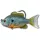 Livetarget Sonnenbarsch Swimbait Natur-Blau Kürbiskern 9cm 14gr Sonnenbarsch Plastikköder