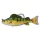 Livetarget Gelbflossenbarsch-Swimbait Gelb-Grün 11,3cm 21gr Kunststoffköder