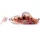 Livetarget Goby Paddletail Rigged Brown-Yellow 7,1cm 10gr Sinkender Gummifisch