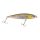 Mustad Vertebrata Top Water 10,92cm 18,8gr 006 Waka Ayu Oberflächenwobbler