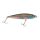 Mustad Vertebrata Top Water Sexy Meeräsche 7,5cm 8,0gr Wobbler
