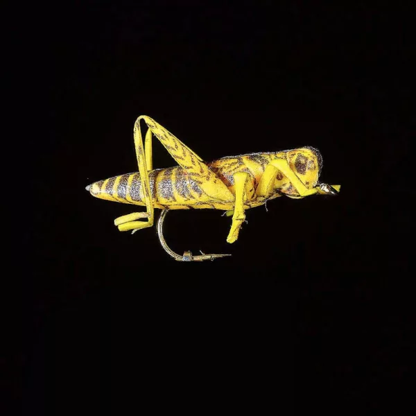 JMC Sauterelle 22 H8 - PCB 6 Kunstfliege