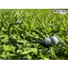 Musaga Hannibal 3/0 3gr Jigkopf 5Stk