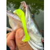 Fox Rage Scent Shads Bulk Chartreuse Ayu 7cm Gummiköder