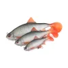 Fox Rage Ultra Realistic Roach Replicant Plötze Plastikköder 14cm 45gr