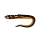 Fox Rage Slick Eel Burbot Kunststoffköder 28cm 1 Stück