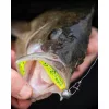 Fox Rage Bulk Loaded Zander Pro Shads UV Lemon Tiger 10cm 4/0 10gr Plastikköder