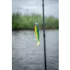 Fox Rage Bulk Loaded Zander Pro Shads UV Firetiger 10cm 4/0 10gr Kunststoffköder
