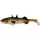 WESTIN Stanley the Stickleback Shadtail 9cm 7g - Lively Roach 6 Stk./Pck. Plastikköder