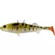 WESTIN Stanley the Stickleback Shadtail 7,5cm 4g - Pearl Stickleback 6 Stück/Packung Plastikköder
