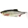 WESTIN Ricky the Roach Shadtail 14cm 42g Real Roach 1 Stk. Kunststoffköder