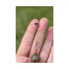 Preston Feeder Links Soft Short 55mm Anti-Tangle 2 Stk.