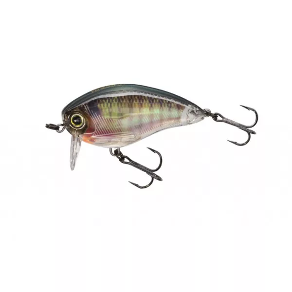 YO-ZURI 3DR WAKEBAIT FLOATING 50mm - RBG Farbcode Wobbler
