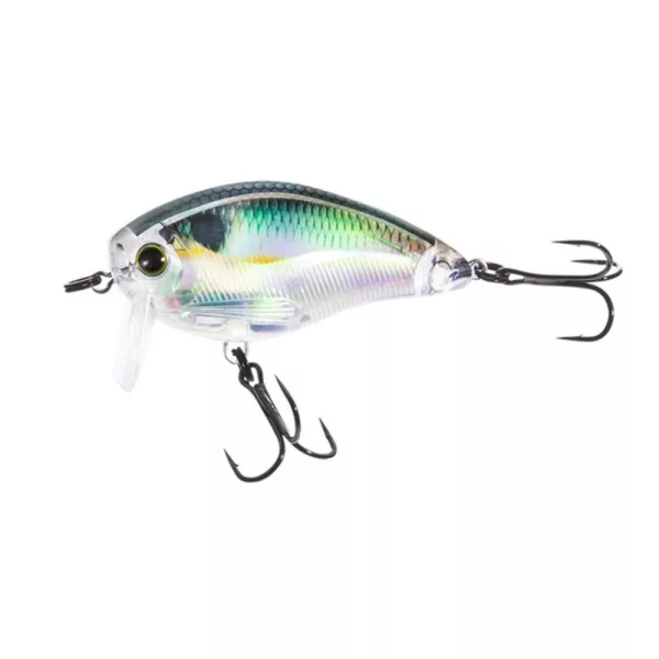 YO-ZURI 3DR WAKEBAIT FLOATING 50mm - RGZS Farbcode Wobbler