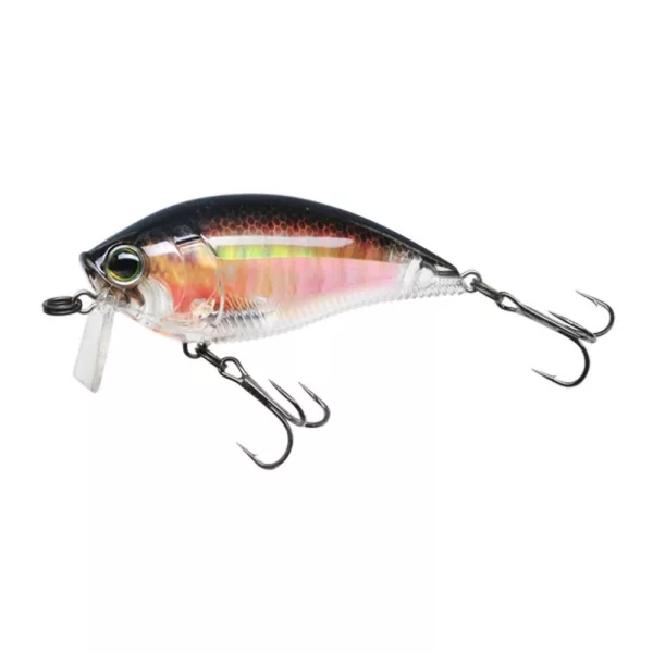 YO-ZURI 3DR WAKEBAIT FLOATING 70mm - RBG Farbcode Wobbler