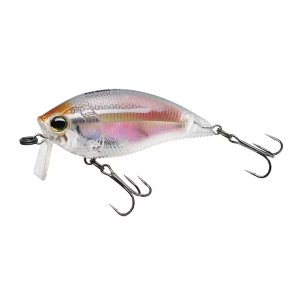 YO-ZURI 3DR WAKEBAIT FLOATING 70mm - RGLM Farbcode Wobbler