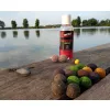 Stég Product Löslich Bojli 24mm Ananas-Buttersäure 1kg
