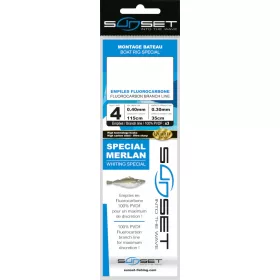   Sunset - BDL BOAT RS COMPETITION SPECIAL MERLAN / FLUORO 3X35 N2 - Montage - Meeresmontage