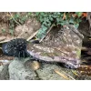TF Gear Primal X-Trail Geländestiefel 41