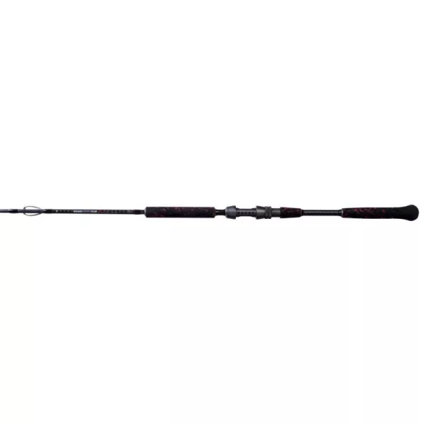 Mikado Intro Catfish 500gr 3m 2-teilige Welsrute